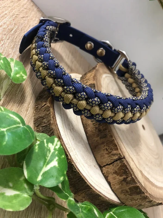 Collier Alliance