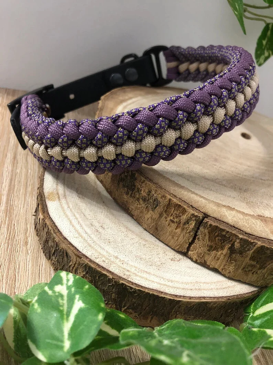 Collier Alliance