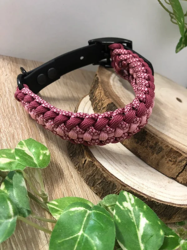 Collier Alliance