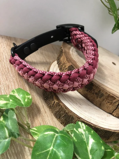 Collier Alliance