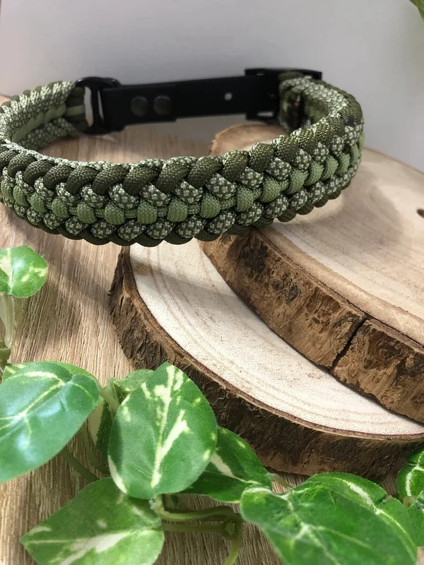 Collier Alliance